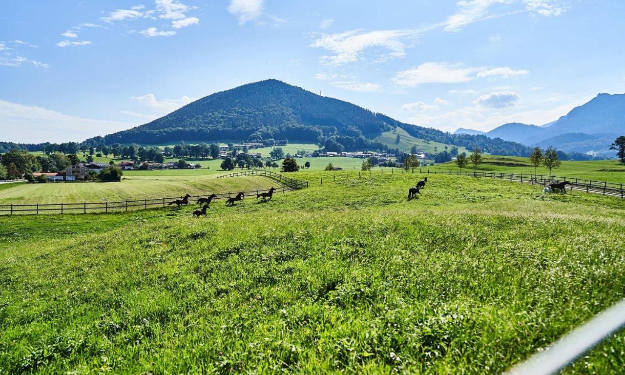 Hof Hauserbichl Fischbachau Kültér fotó