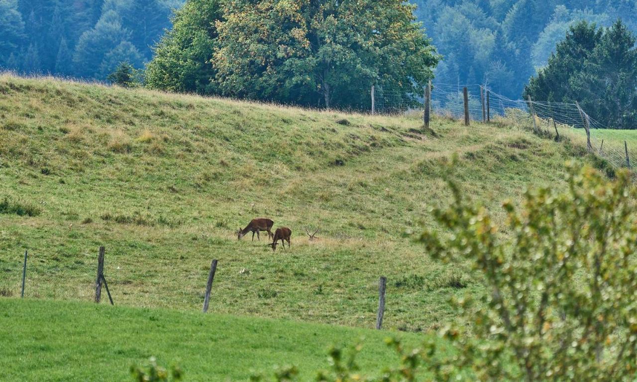 Hof Hauserbichl Fischbachau Kültér fotó